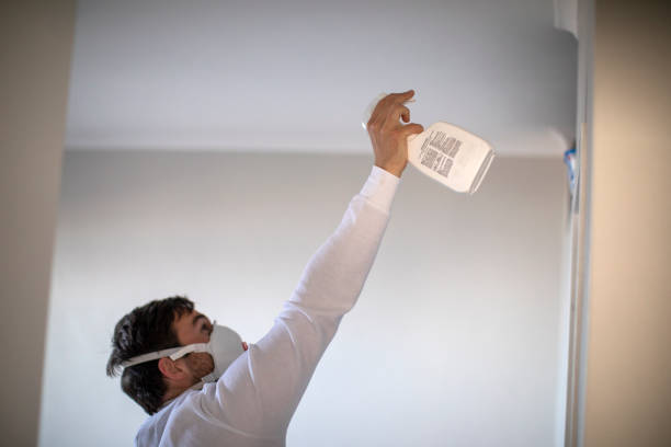 Best Same-Day Mold Removal  in Simonton Lake, IN