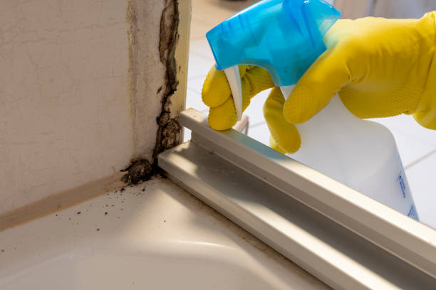 Best Toxic Mold Removal  in Simonton Lake, IN