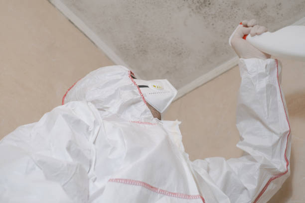 Best Emergency Mold Removal  in Simonton Lake, IN