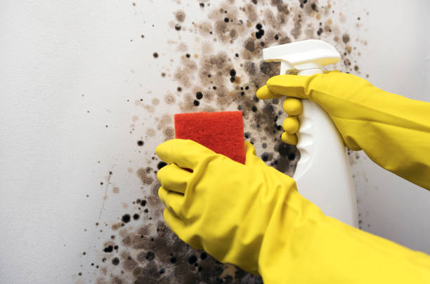 Best Mold Testing  in Simonton Lake, IN