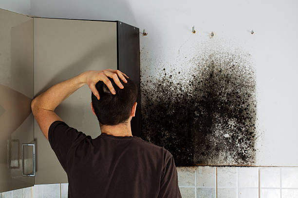 Best Office Mold Removal Services  in Simonton Lake, IN